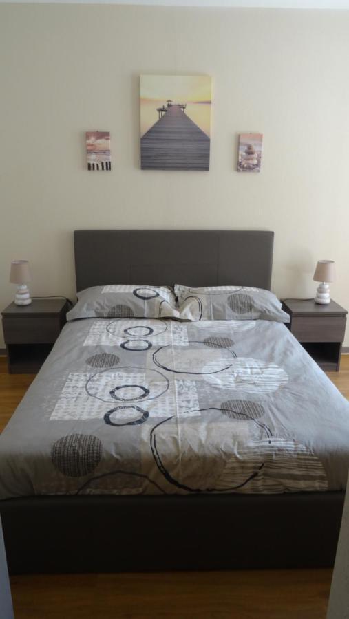 Appart T2 Standing Tout Confort Avec Balcon - Parking En Option Lyon Exterior photo