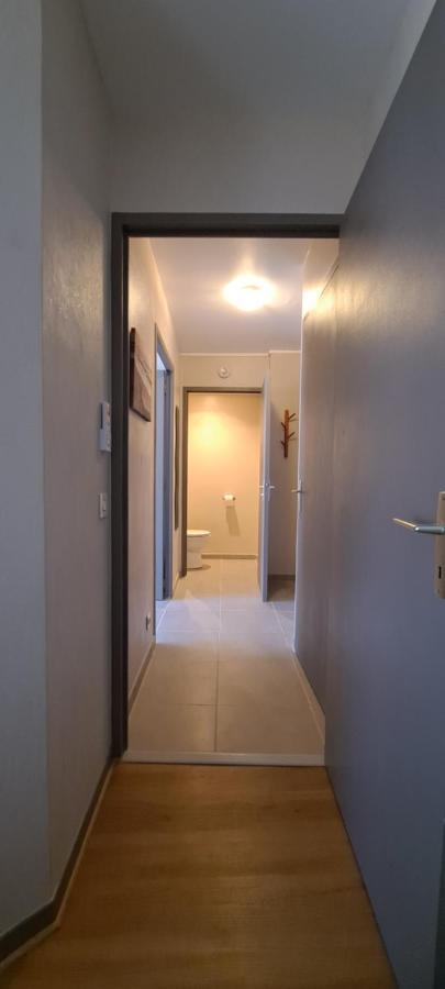 Appart T2 Standing Tout Confort Avec Balcon - Parking En Option Lyon Exterior photo